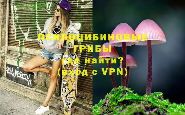 дурь Богданович